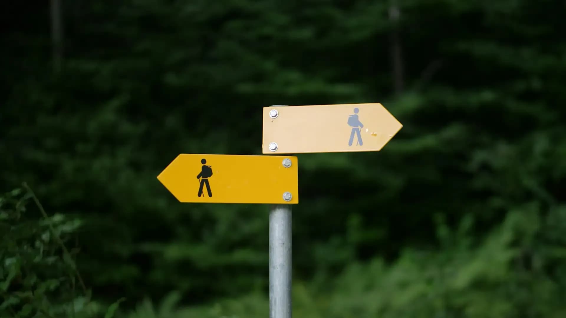 Artykuł strona wizytówka czy rozbudowany serwis? Co wybrać na start biznesu - Jacek Gawlyta